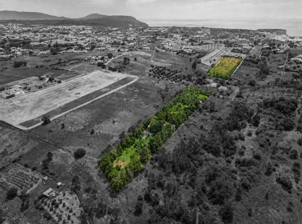 Setúbal, Setubal 2925-054