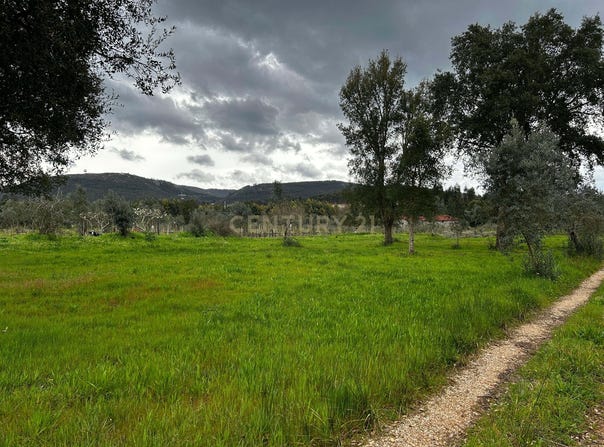 Poiares (Santo André), Coimbra District