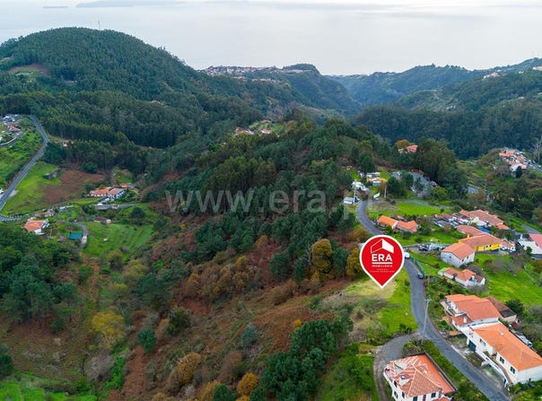 Camacha, Madeira 9135