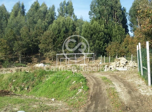 Fafe, Braga