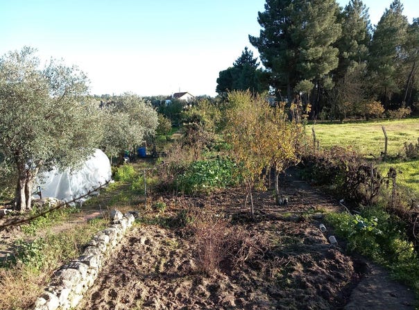 Póvoa de Rio de Moinhos e Cafede, Castelo Branco District