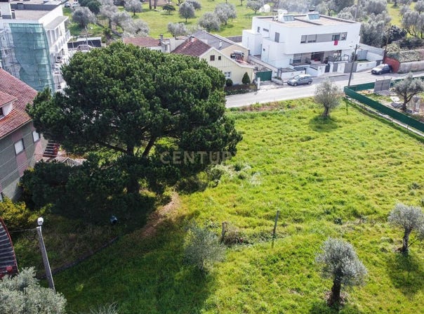 Pombal, Leiria District