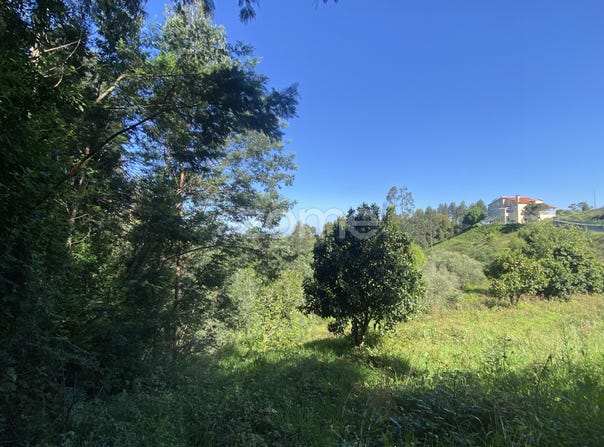 Mealhada, Aveiro District