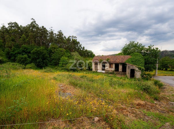 Fafe, Braga