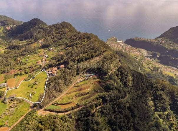 Ilha da Madeira, Madeira