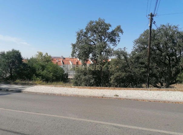 Palhais e Coina, Setubal