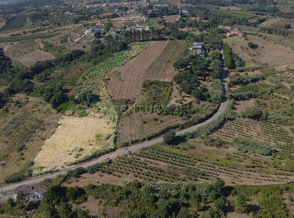 Roliça, Leiria District