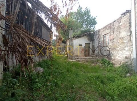 Guarda, Guarda