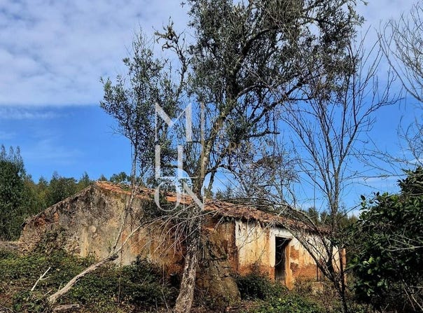 SÃO TEOTÓNIO, Beja District