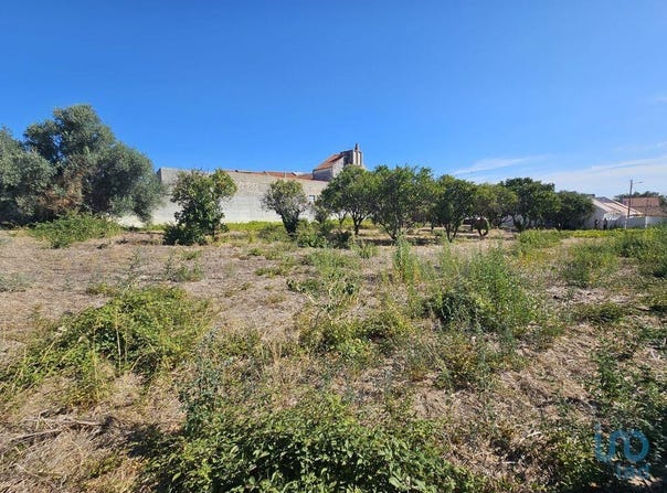 Palmela, Setúbal 2950