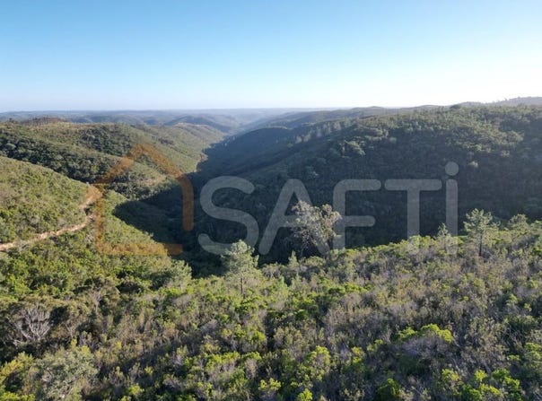 Bordeira, Algarve 8670