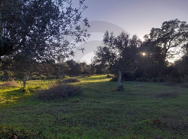Malhou, Santarém District