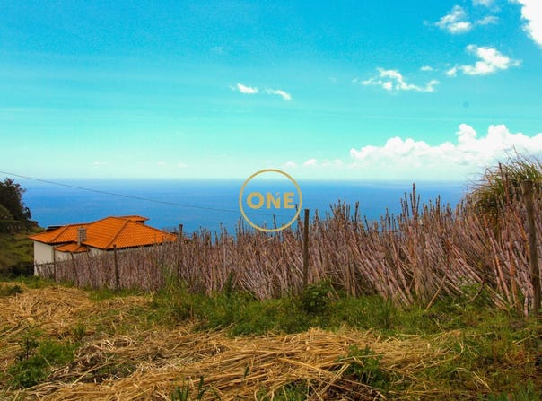 CANHAS, Madeira
