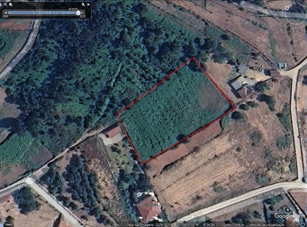 BELA, Viana do Castelo District