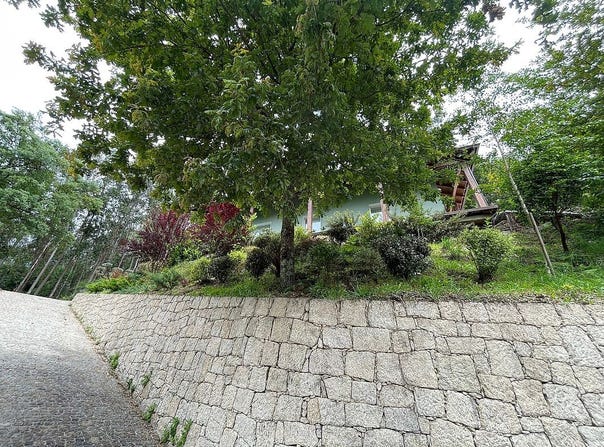 Braga, Braga 4850-451