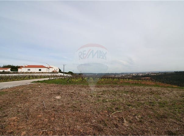 Leiria, Leiria District 2510