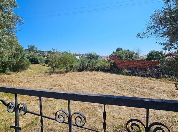 Pombal, Leiria District