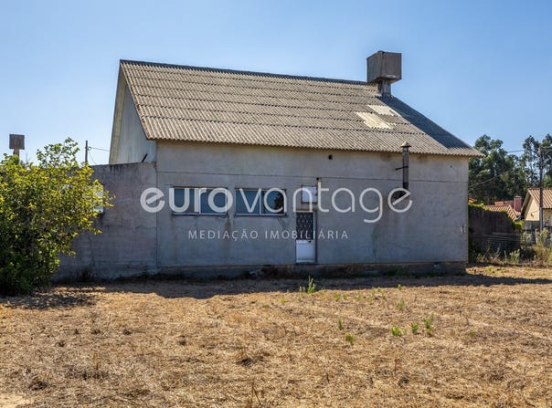 Amor, Leiria, Leiria District