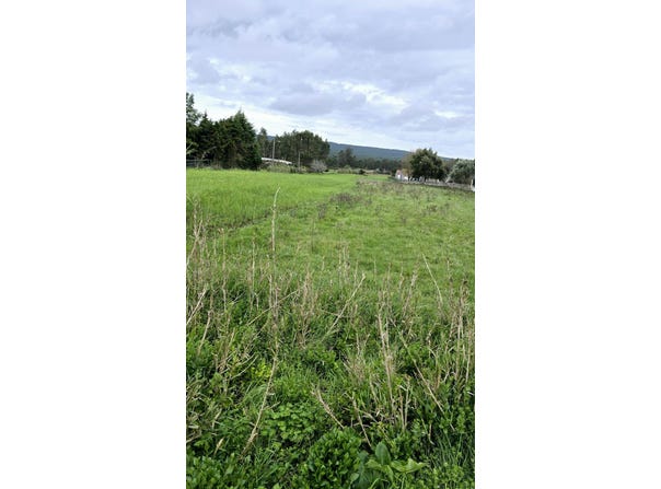 Valado dos Frades, Leiria District