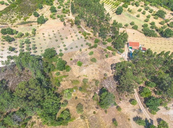 Pedrógão, Santarém District