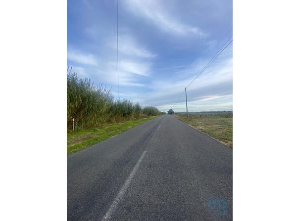 Santarém, Santarém District