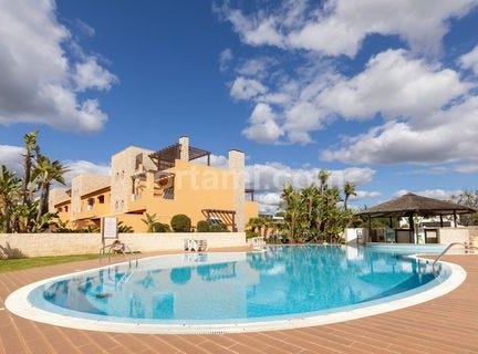Loule, Faro