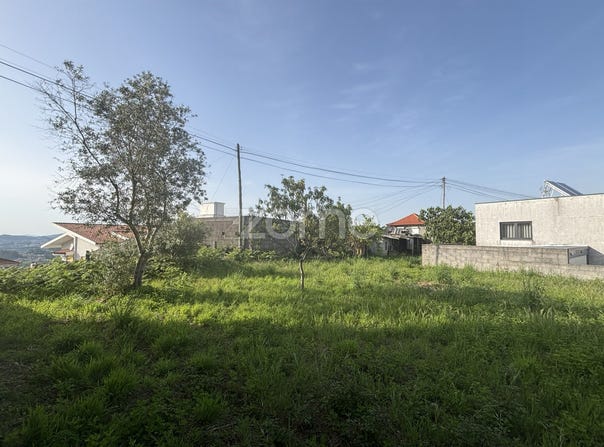 Amarante, Porto District