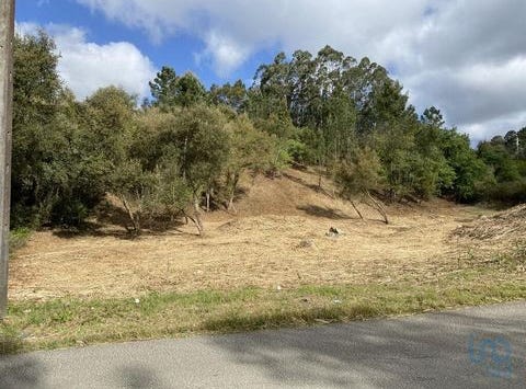 Leiria, Leiria 2415-313