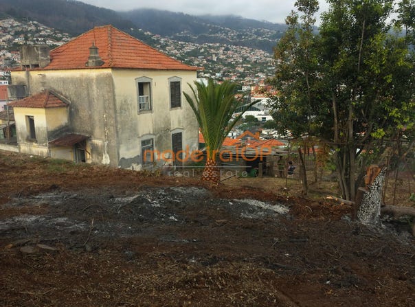 Santo Antônio, Madeira 9020
