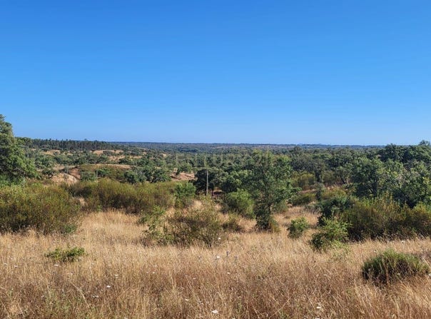 Santiago do Cacém, Setubal