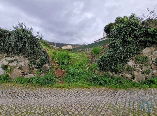 Viana do Castelo, Viana do Castelo District
