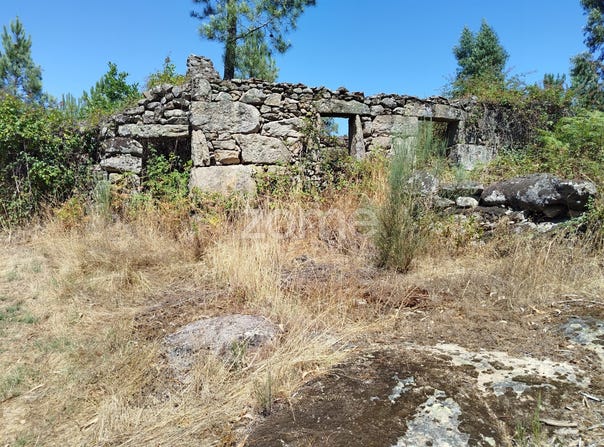 Mangualde, Viseu District