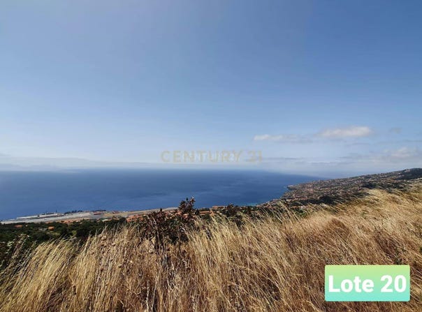 Ilha da Madeira, Madeira