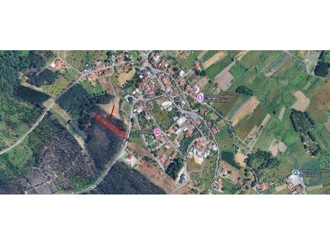 Leiria, Leiria 2420-026