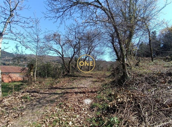 BALANÇA, Braga