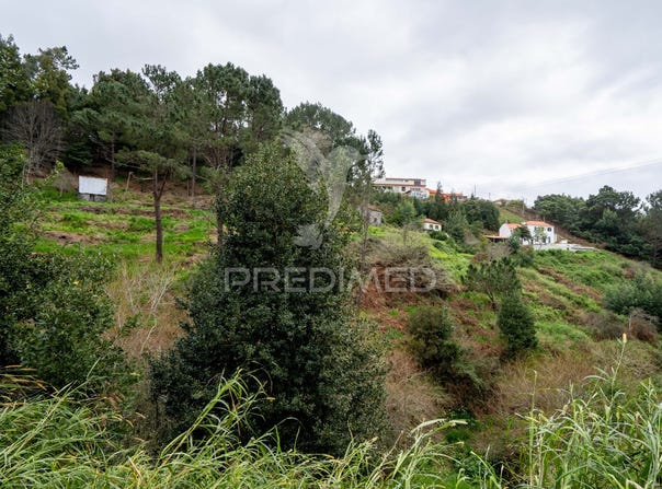 Santo António da Serra, Santa Cruz, Madeira 9100-255