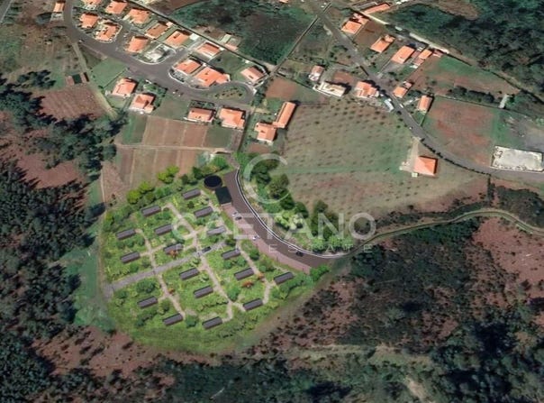 Prazeres, Madeira 9370