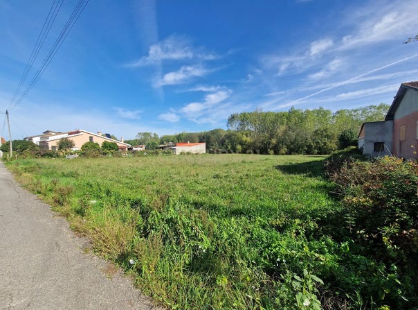 Oliveira do Bairro, Aveiro District