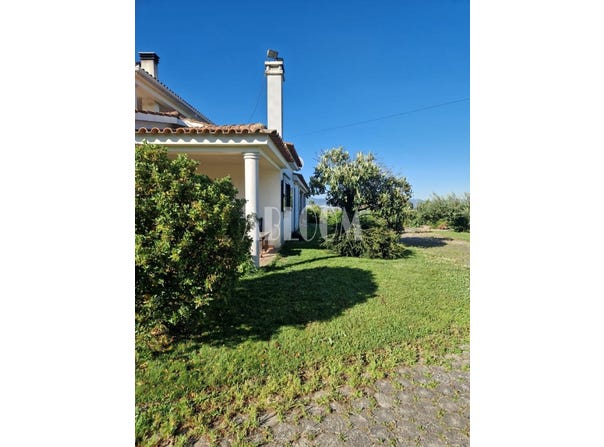 Pêro Viseu, Castelo Branco 6230