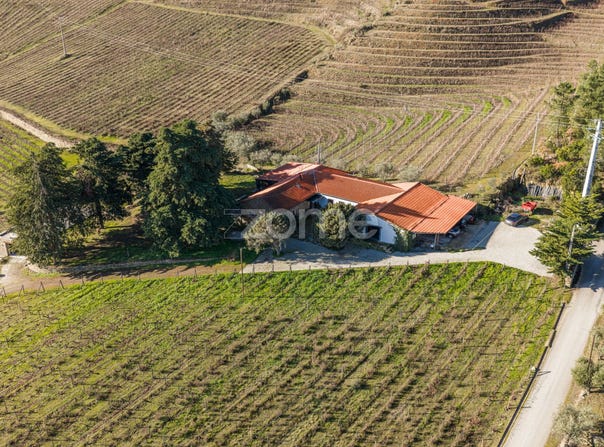 Tabuaço, Viseu District