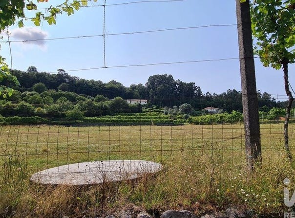 Braga, Braga