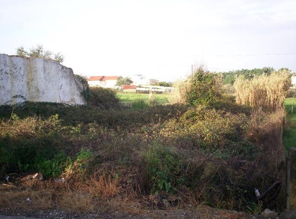 Brenha, Coimbra District 3080