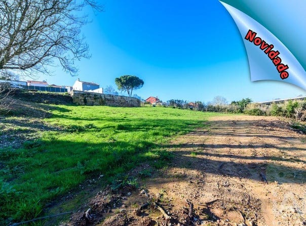 Leiria, Leiria District