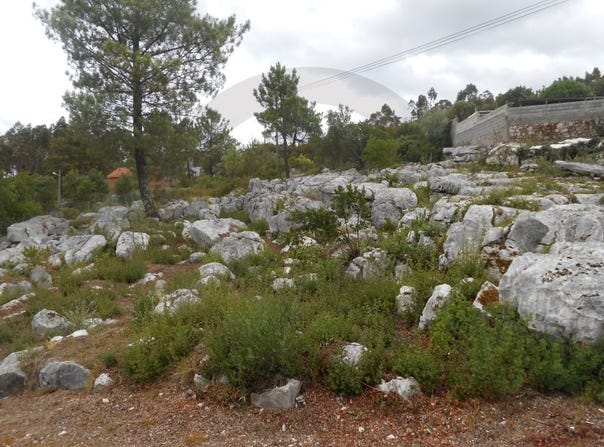 Mira de Aire, Leiria District