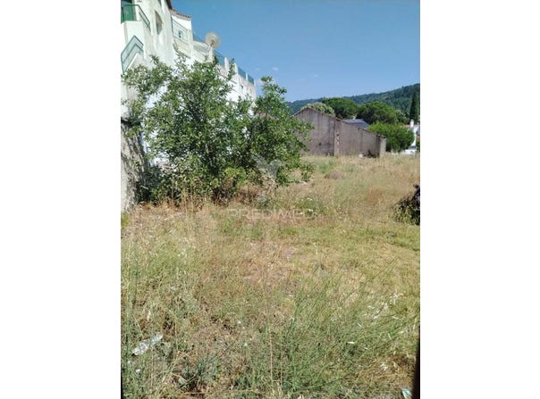 Ribeira de Nisa e Carreiras, Portalegre, Portalegre District 7300-126
