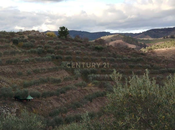 Abreiro, Bragança District