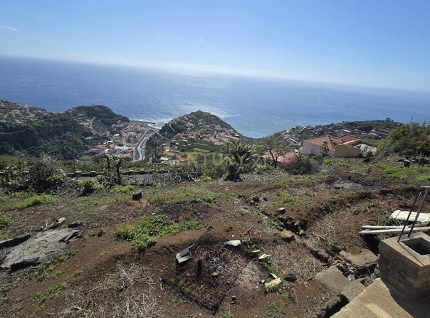 Ilha da Madeira, Madeira