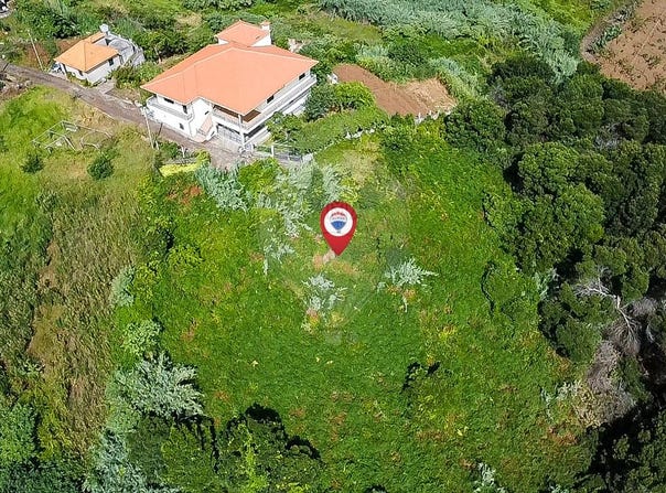 Sao Jorge, Madeira 9230