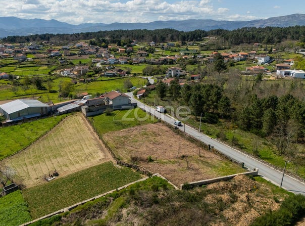 Vila Real, Vila Real District