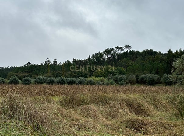 Redinha, Leiria District